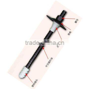 Manufacture Deform Bar Resin Anchor Bolt photo-5