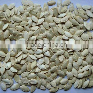 new crop chines shine skin pumpkin seeds