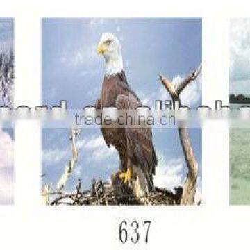 3 change eagle