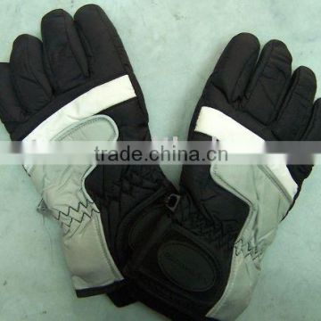 Ski Glove / Sports Glove / Winter Glove