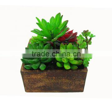 PE Mini Potted Plant Artificial Mixed Succulent Garden for Wholeselling