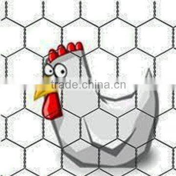 green/ black pvc coated chicken coope hexagonal wire mesh