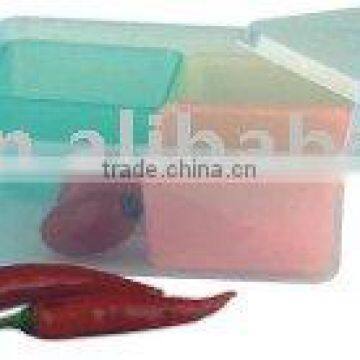 4 section storage container