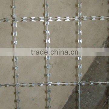 Welded Razor Barbed Straight Wire Fence for protective ( Manufacturer)