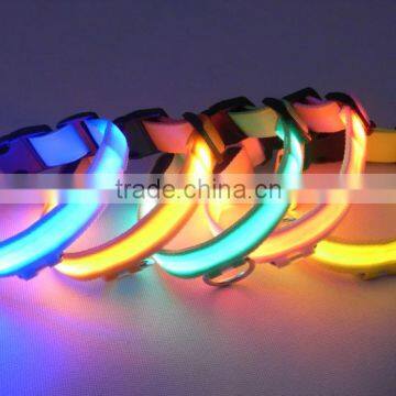 light up dog collar