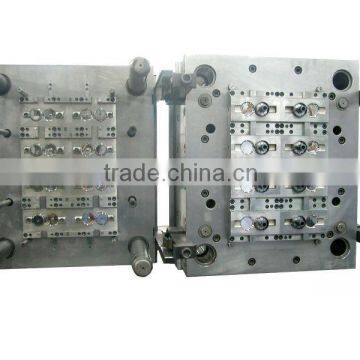 Multi Cavity Cap Mould