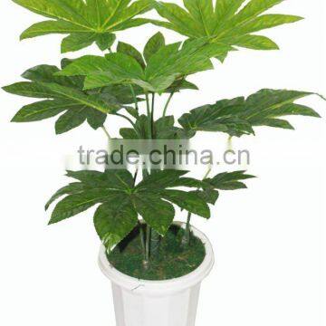 Indoor decorative artificial tree-artificial trees-japan fatsia