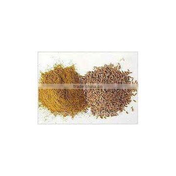 Black Cumin Seed photo-6