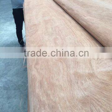 natural gurjan veneer