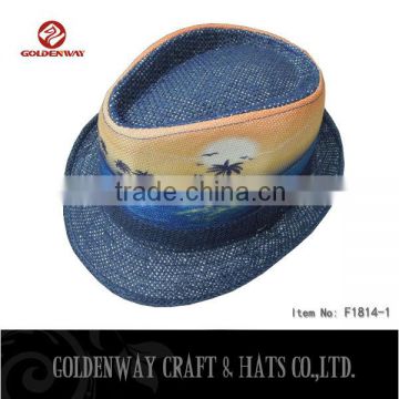 Hot Sale Blue Men Fedora hats