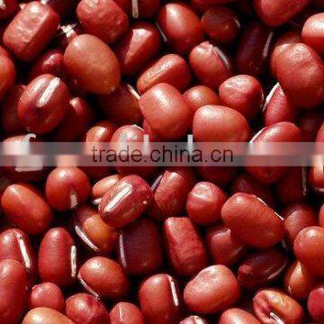 Small Red Beans 09 crop beans