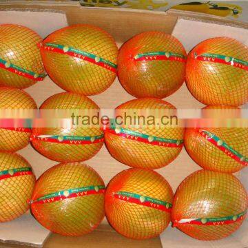 GuanXi high quality honey pomelo (shaddock)