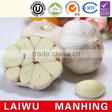 Common Cultivation Liliaceous Vegetables garlic fresh