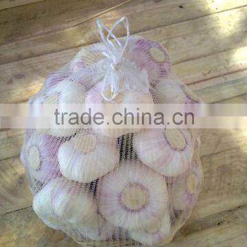 RED AND WHITE GARLIC NEW SEASON photo-2