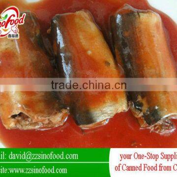 mackerel variety body part canned style in tomato sauce