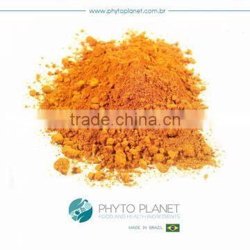 DRIED PAPAYA POWDER