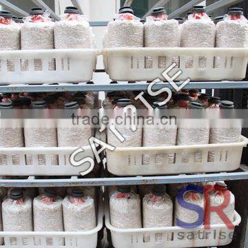 2016 Best Selling Mushroom Grow Bags Plastic Crate photo-5