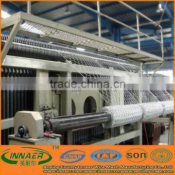 HOT Sale Anping Hexagonal Wire Mesh