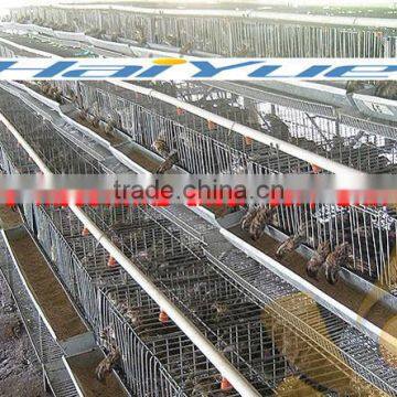 taiyu ladder type quail cages