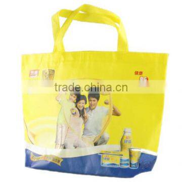 Custom-Made Coating Silk Printed Shopping Bag (BCS006)