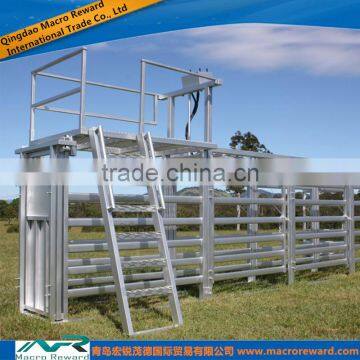 AS/NZS Q235 304 316 Steel Loading Ramp Loading Chute for Livestock Loader