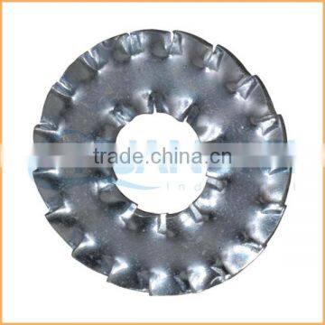 China Professional Manufacturing Lock Washer M12 photo-6