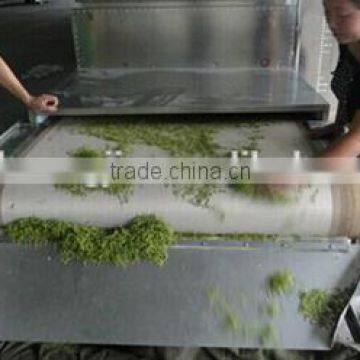 New Design Moringa Leaf Drying Machine,commercial Dehydrator Machine,tea Leaf Drying Machine With Lower Price photo-5
