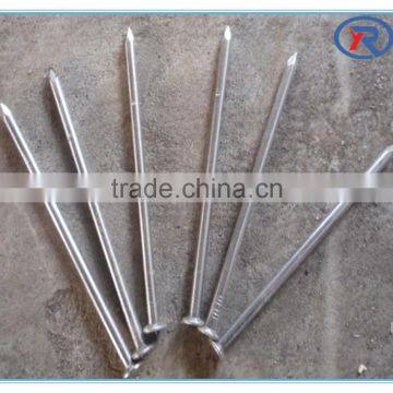 Electro-galvanized Common Building Nails Common Wire Iron Nail photo-4