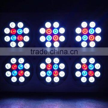 High quality apollo cob 6 led grow light for grow plant