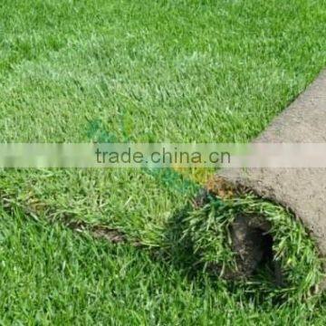 Artificial Soccer Grass Turf Faux Football Lawn Fake Grass for Golf Field photo-2