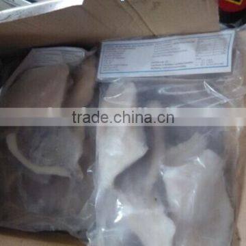 Frozen Moonfish Fillet photo-4
