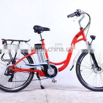 folding electric bike