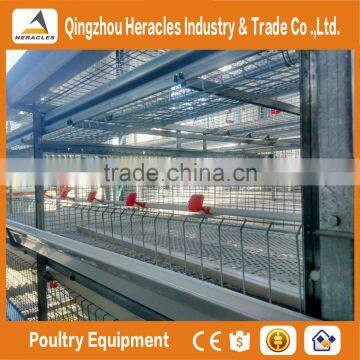 Shandong Heracles Trade Assurance Equipment Poultry Layer Chicken Cage for Sale photo-3