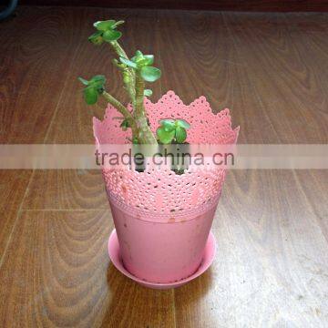 Office Desk Flower Pots photo-5