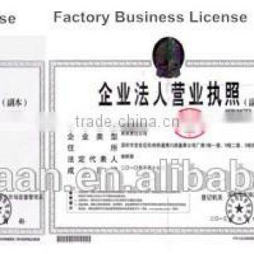 Popular Household Latex/rubber Gloves Long Sleeve Chemical Protection Gloves photo-6