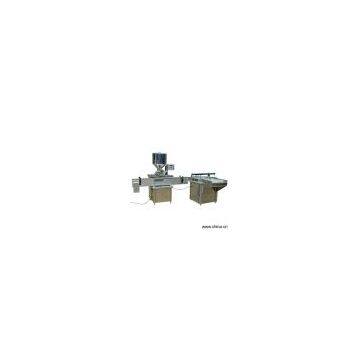 Sell ZSGJ-B Automatic Bi-head Filling Machine