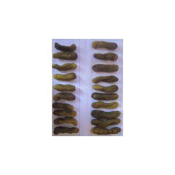 VIETNAM PICKLED CUCUMBER/ GHERKIN/ CORNICHON (Ms. Angela - website: dzungphan94)
