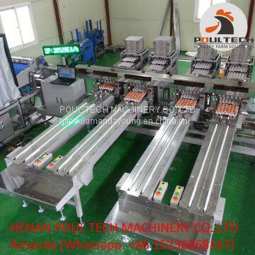 Egg Grading Sorting Machine for Chicken Farming