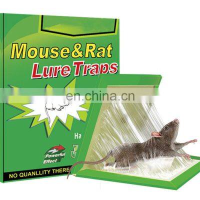 Oem Service Professional Eco-friendly Rat Mouse Glue Rat Glue Trap Mouse Repeller 3 Year All-season Disposable MSDS Report