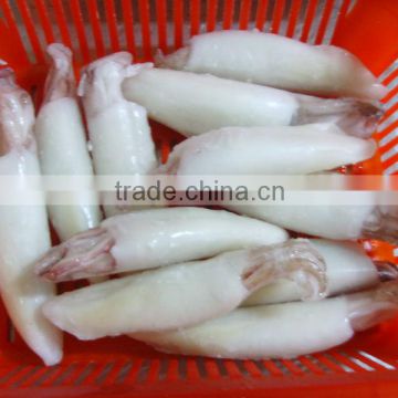 Frozen whole cleaned squid