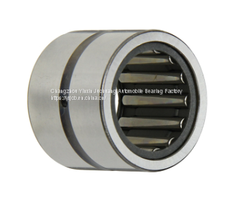 Excellent Quality Entity Bushed Needle Roller Bearing NK17/16,644903K photo-3