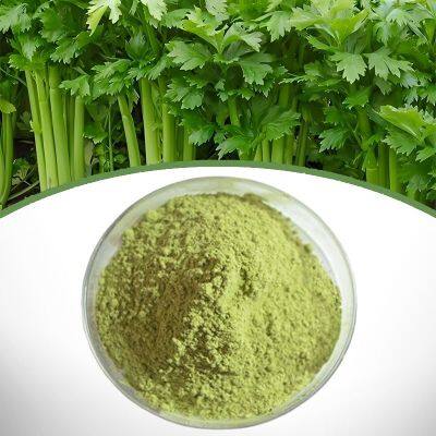 Celery Powder