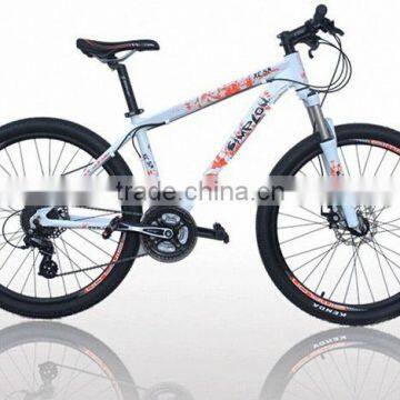 Alloy mountain bike XC58