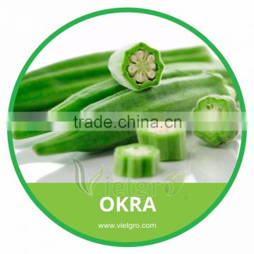 HIGH QUALITY FRESH OKRA