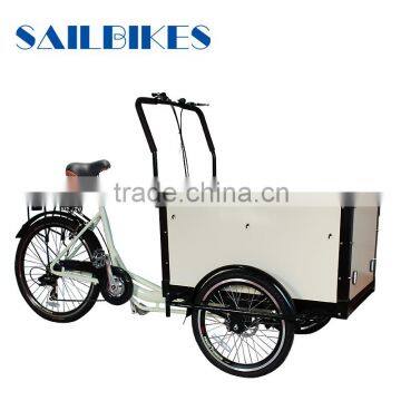 cargo electric bike for children