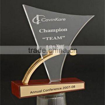 Fashionable Design Acrylic Trophy for Commemorate