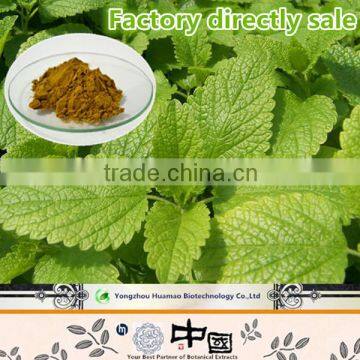 High Quality Professional Manufacturer Melissa Officinalis Extract Powder