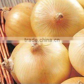 red onion and yellow onion