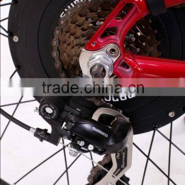 Electric Bicycle (Model SEB500F) photo-4