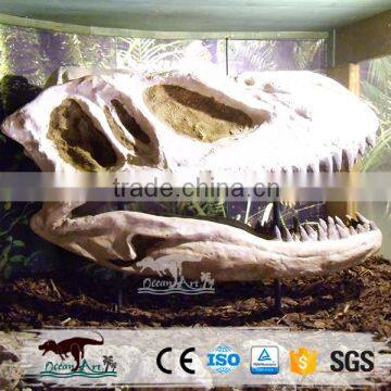 OA4075 High Quality Replica Dinosaur Fossils